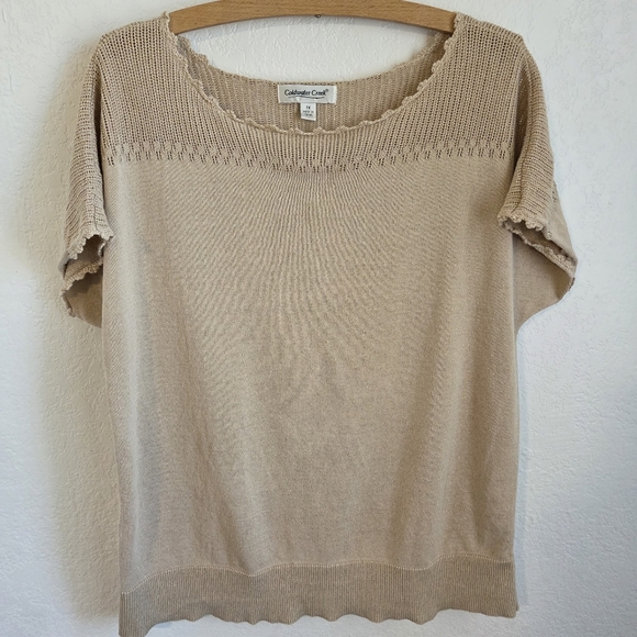 Coldwater Creek Tops - Coldwater Creek Dolman Short Sleeve Brown Metalic Knit Pullover PlusSize 1X